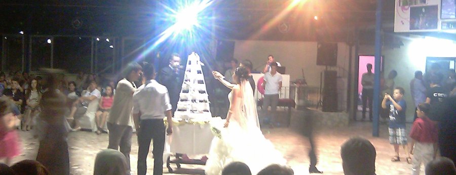 Bahar Aytekin Wedding Party